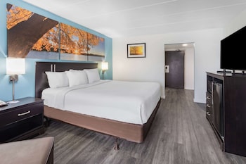 Room, 1 King Bed, Non Smoking (Pet-Friendly)