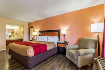 Standard Room, 1 King Bed, Non Smoking