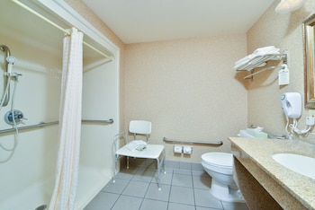 Standard Room, 1 King Bed, Accessible, Non Smoking