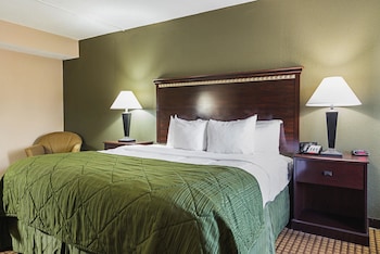 Standard Room, 1 King Bed, Non Smoking