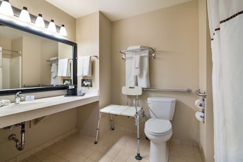 Standard Room, 1 King Bed, Accessible, Non Smoking (Walk-in Shower)
