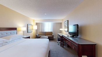Room, 1 King Bed with Sofa bed (Hearing Accessible)