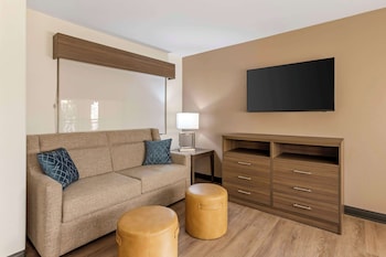 Suite, 1 King Bed, Non Smoking, Refrigerator & Microwave (Separate Living Room;with Sofabed)