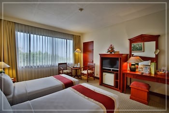 Deluxe Twin Room (Twin)