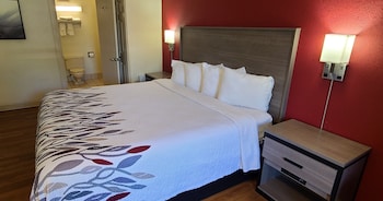 Deluxe Room, 1 King Bed, Non Smoking