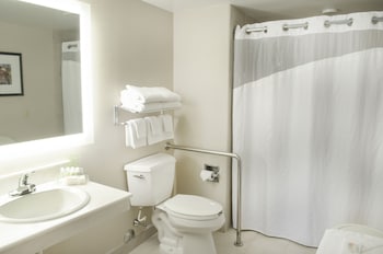 Room, 1 Queen Bed, Roll-in Shower (Communications Accessible)