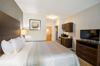 Suite, 1 King Bed, Smoking (Efficiency)