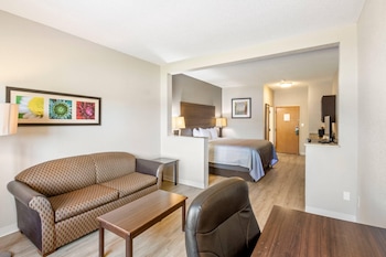 Suite, 1 King Bed, Smoking (Efficiency)