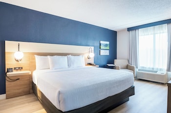 Room, 1 King Bed, Non Smoking (Walk-In Shower)