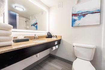 Room, 1 King Bed, Non Smoking (Walk-In Shower)