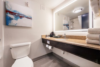 Room, 1 King Bed, Non Smoking (Walk-In Shower)