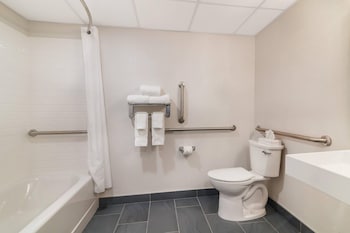 Room, 1 Double Bed, Accessible, Non Smoking