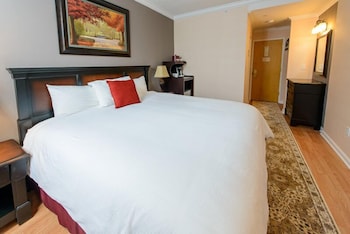 Standard Room, 1 King Bed, Refrigerator