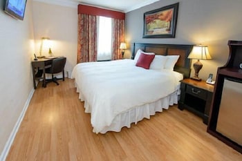 Standard Room, 1 King Bed, Refrigerator
