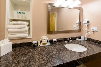 Suite, 1 King Bed with Sofa bed, Refrigerator