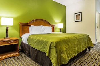 Suite, 1 King Bed, Accessible, Smoking