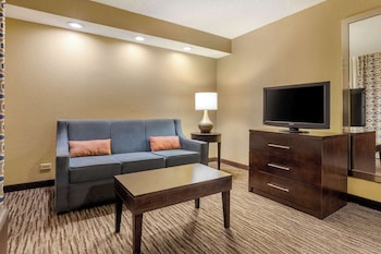 Suite, 1 King Bed with Sofa bed (Wet Bar, Living Room)