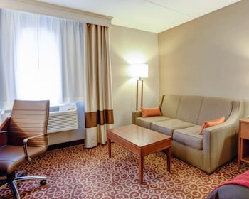 Standard Room, 1 King Bed with Sofa bed, Non Smoking