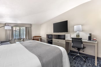 Standard Room, 1 King Bed, Non Smoking, Refrigerator & Microwave