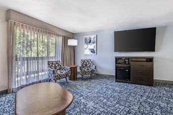 Standard Room, 1 King Bed, Non Smoking, Refrigerator & Microwave