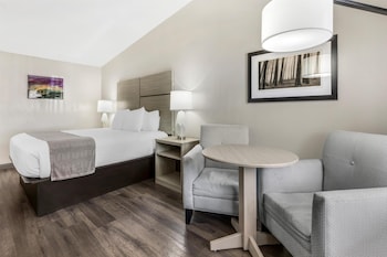 Standard Room, 1 King Bed, Non Smoking, Refrigerator & Microwave (Pet Friendly)