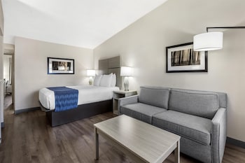 Standard Room, Multiple Beds, Non Smoking, Refrigerator & Microwave (Queen sofabed;Pet Friendly)
