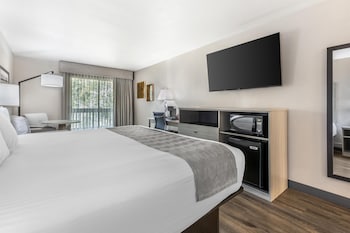 Standard Room, 1 King Bed, Non Smoking, Balcony (Pet Friendly)