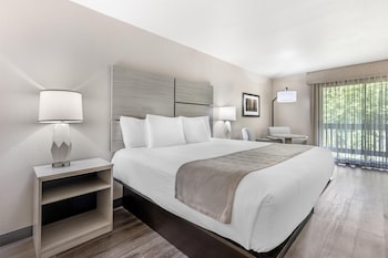 Standard Room, 1 King Bed, Non Smoking, Balcony (Pet Friendly)