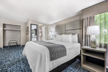 Family Suite, Multiple Beds, Non Smoking (with Sofabed)
