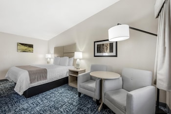 Standard Room, 1 King Bed, Non Smoking, Refrigerator & Microwave