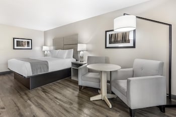 Standard Room, 1 King Bed, Non Smoking, Balcony (Pet Friendly)