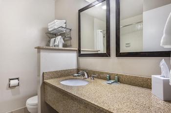 Standard Room, 1 King Bed, Non Smoking, Balcony (Pet Friendly)