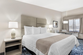 Standard Room, 1 King Bed, Non Smoking, Refrigerator & Microwave
