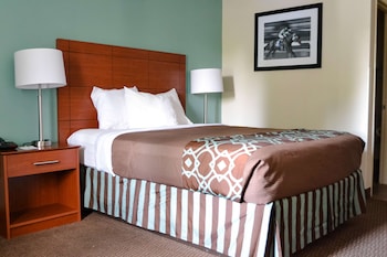 Standard Room, 1 Double Bed, Non Smoking, Refrigerator & Microwave
