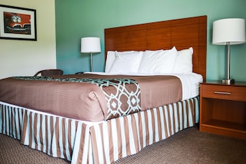 Standard Room, 1 King Bed, Non Smoking, Refrigerator & Microwave
