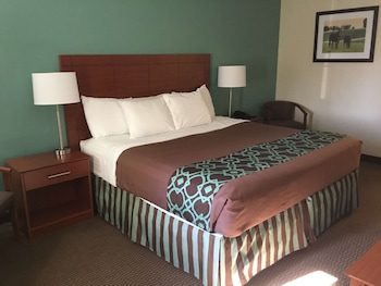 Standard Room, 1 King Bed, Non Smoking, Refrigerator & Microwave