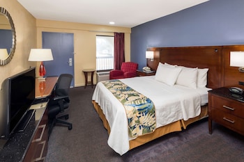 Room, 1 King Bed