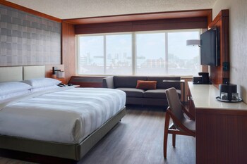 Room, 1 King Bed