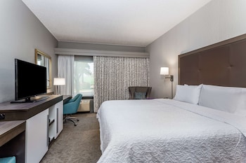 King, Standard Room, 1 King Bed