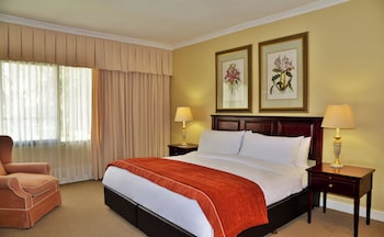 AVANI Club Room