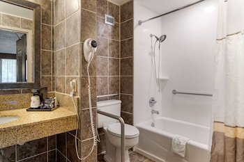 Standard Room, 1 King Bed, Accessible, Bathtub