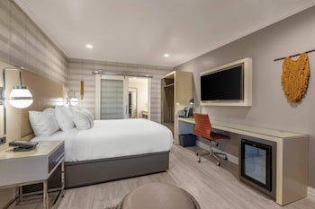 Standard Room, 1 King Bed, Non Smoking