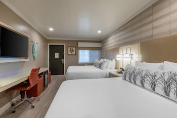 Standard Room, 2 Queen Beds, Accessible, Non Smoking (Roll-In Shower)