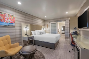Standard Room, 1 King Bed, Non Smoking