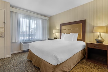 Standard Room, 1 King Bed, Non Smoking, Microwave
