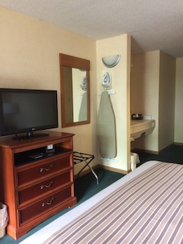 Room, 1 King Bed