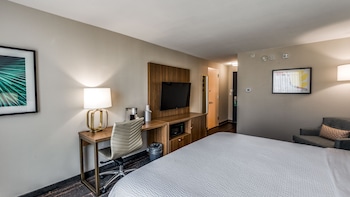 Standard Room, 1 King Bed