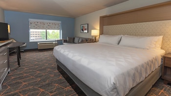 Standard Room, 1 King Bed with Sofa bed