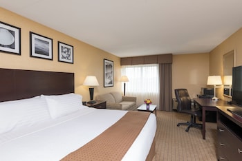 Standard Room, 1 King Bed with Sofa bed