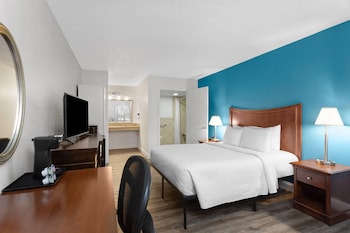 Deluxe Room, 1 Queen Bed, Mobility Accessible, Non Smoking (Roll-In Shower)
